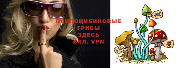 спайс Покачи
