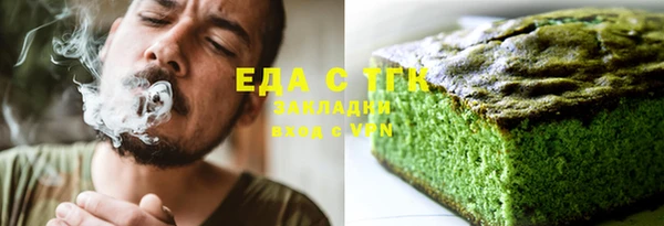 индика Бородино