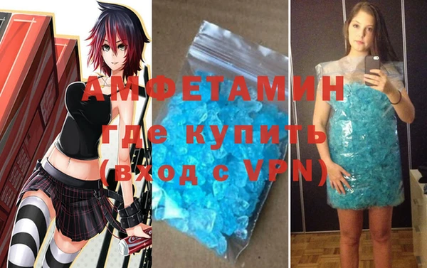 индика Бородино