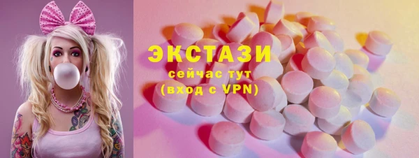 индика Бородино