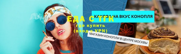 индика Бородино
