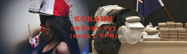 спайс Покачи