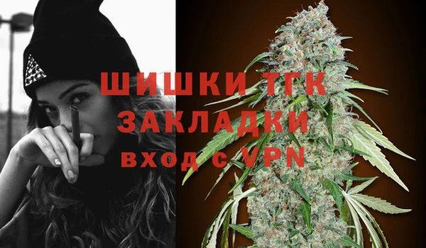 индика Бородино