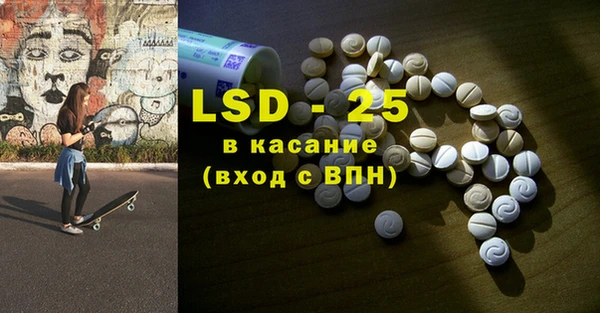 индика Бородино