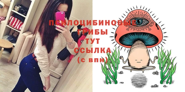 индика Бородино