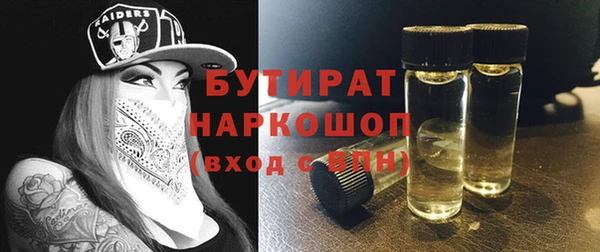 индика Бородино