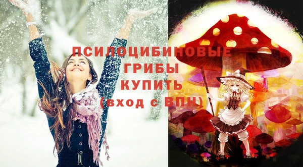 индика Бородино